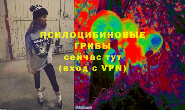мяу мяу мука Баксан