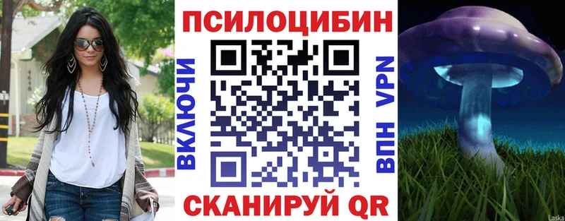 Псилоцибиновые грибы мицелий  blacksprut ONION  Зима 
