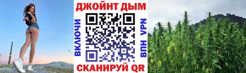 kraken tor  Зима  Каннабис тримм 